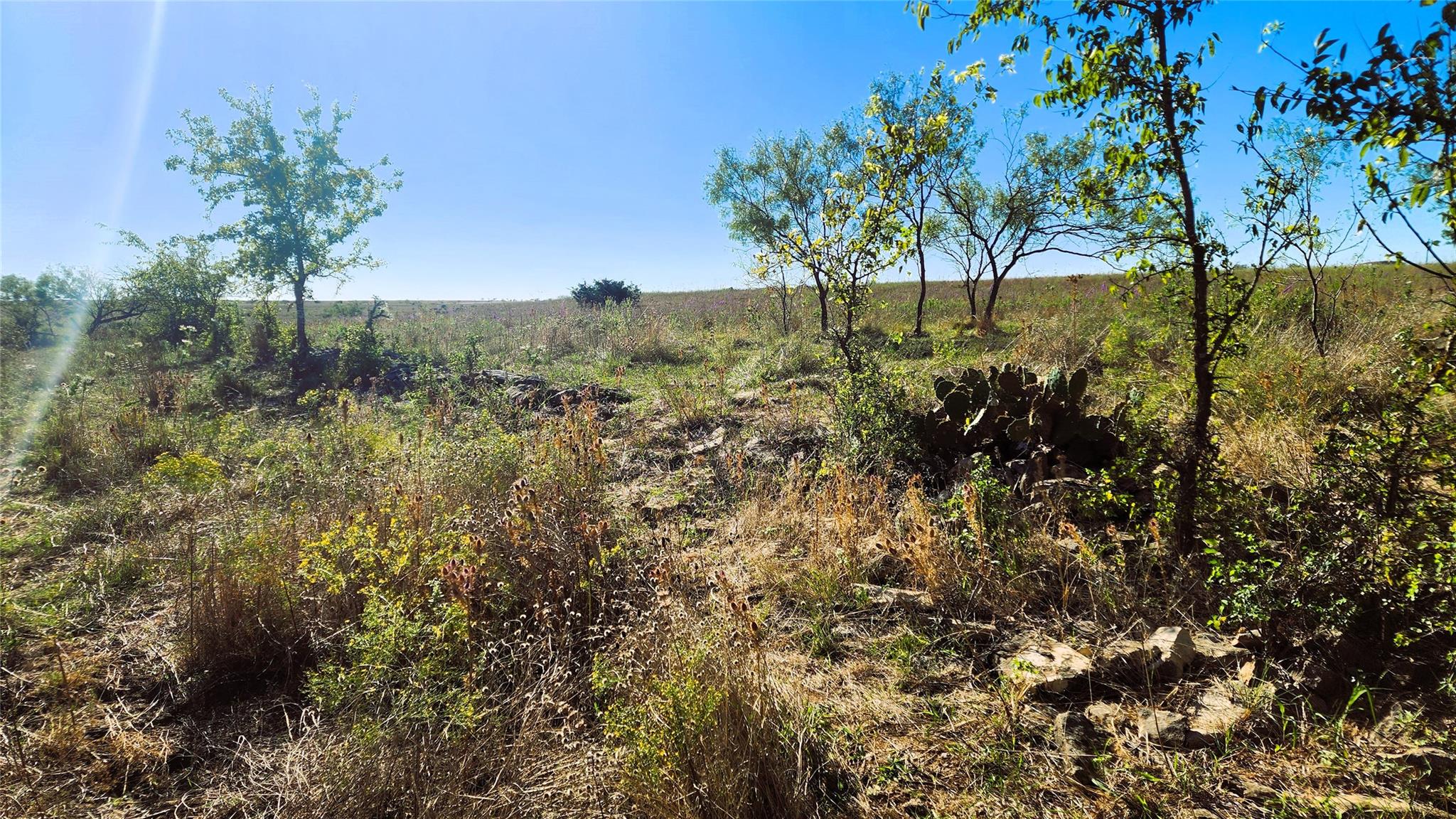 Tract 7 County Road 963 Property Photo 14