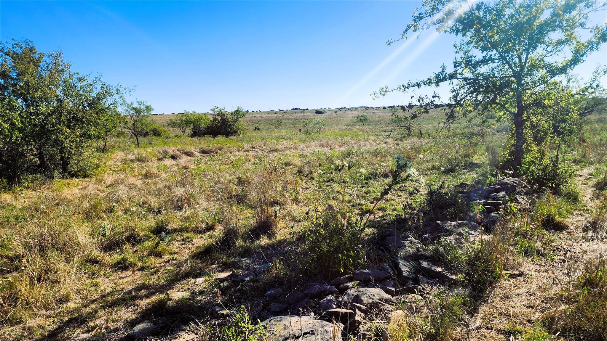Tract 7 County Road 963 Property Photo 15