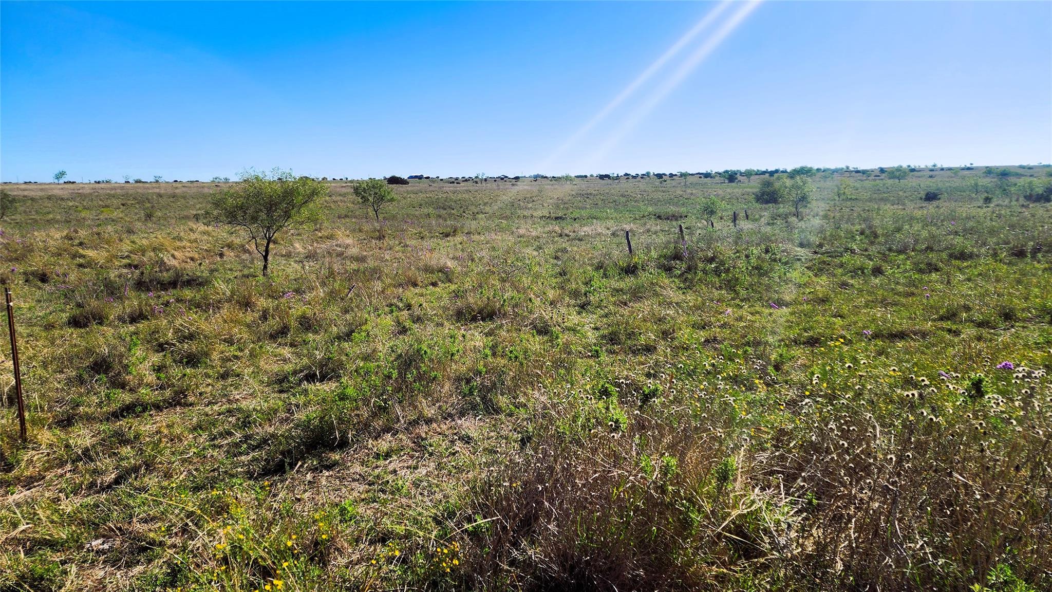 Tract 7 County Road 963 Property Photo 17