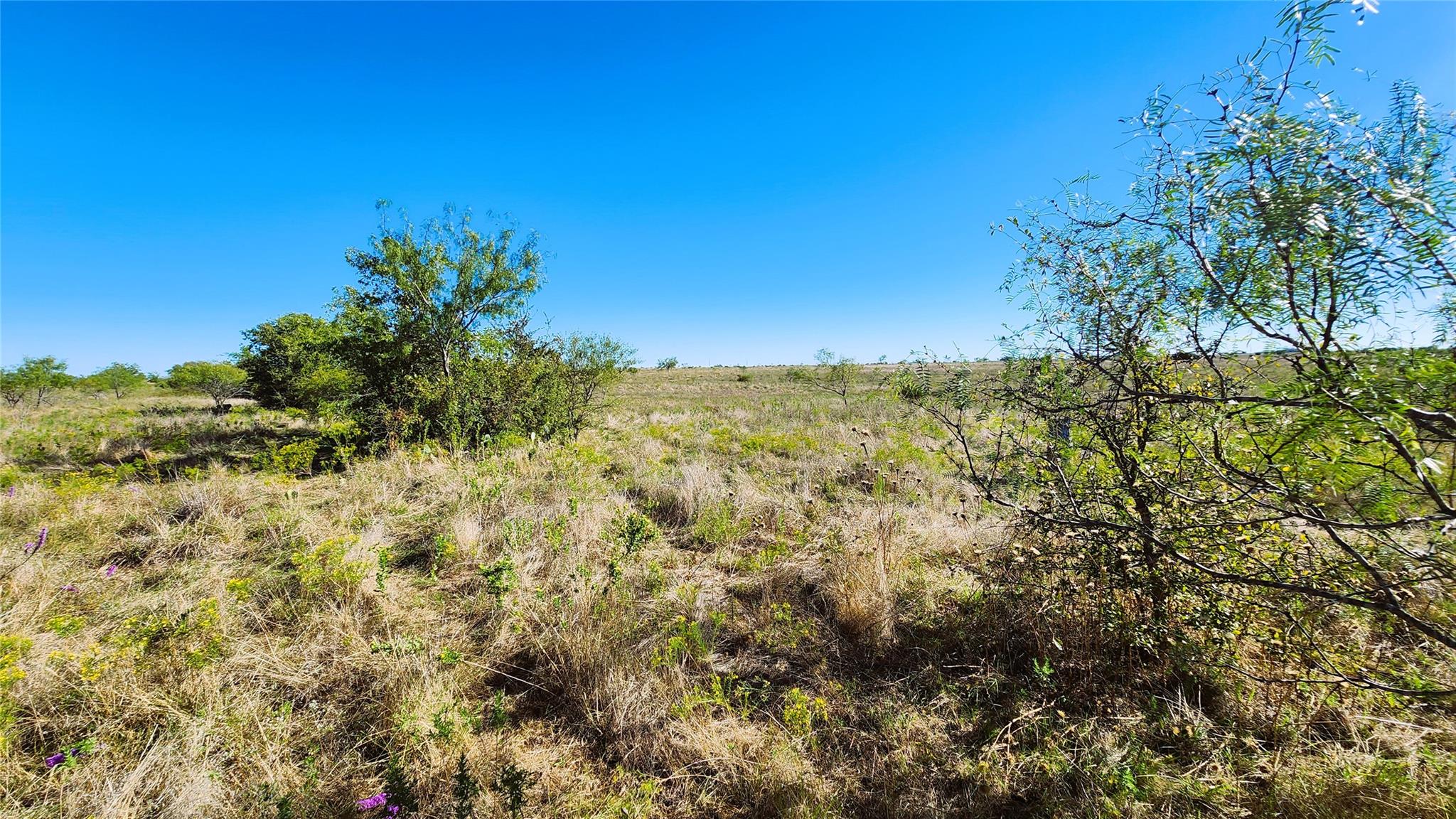 Tract 7 County Road 963 Property Photo 19
