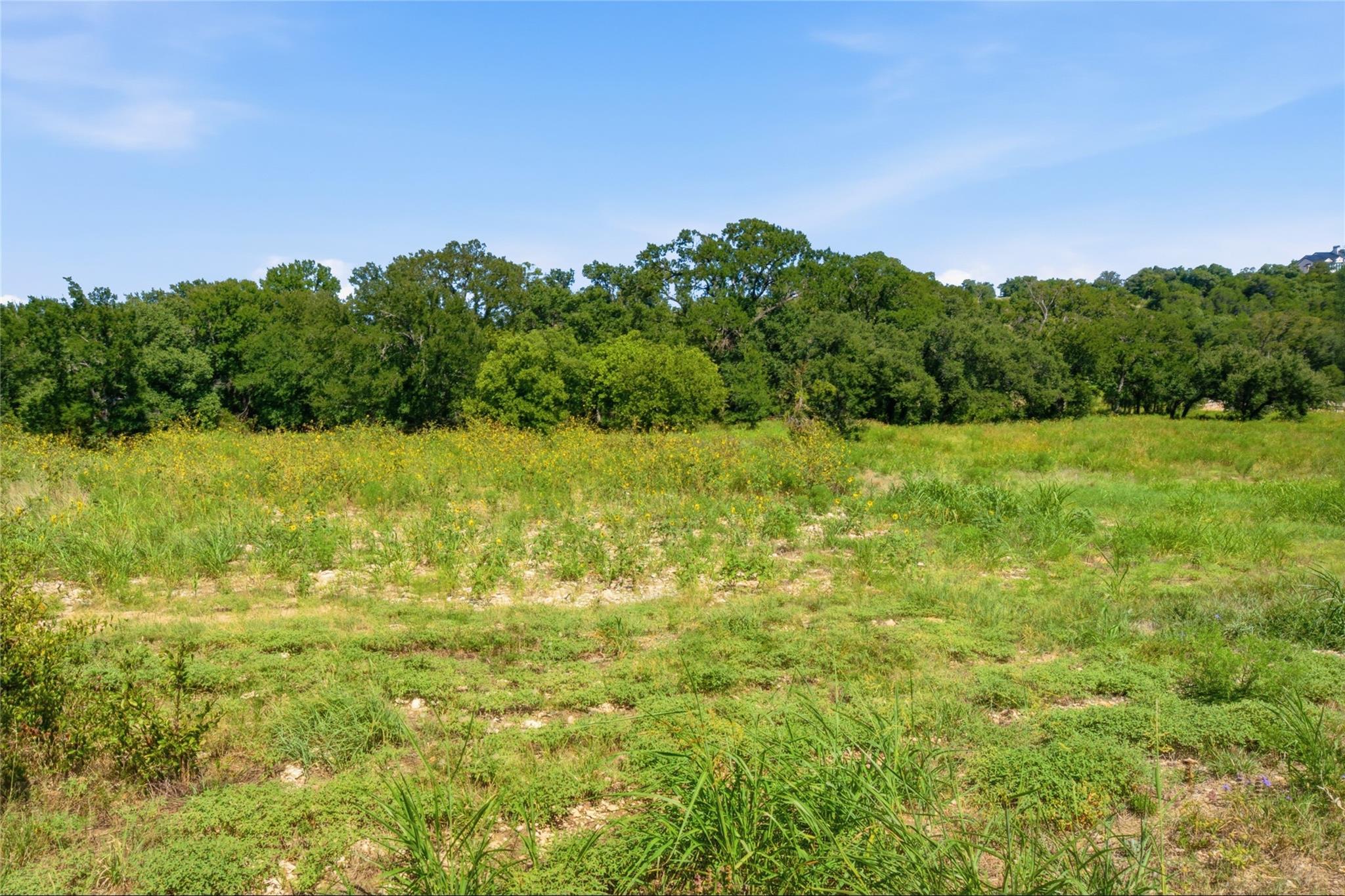 1300 Meadow Oak Xing Property Photo 7
