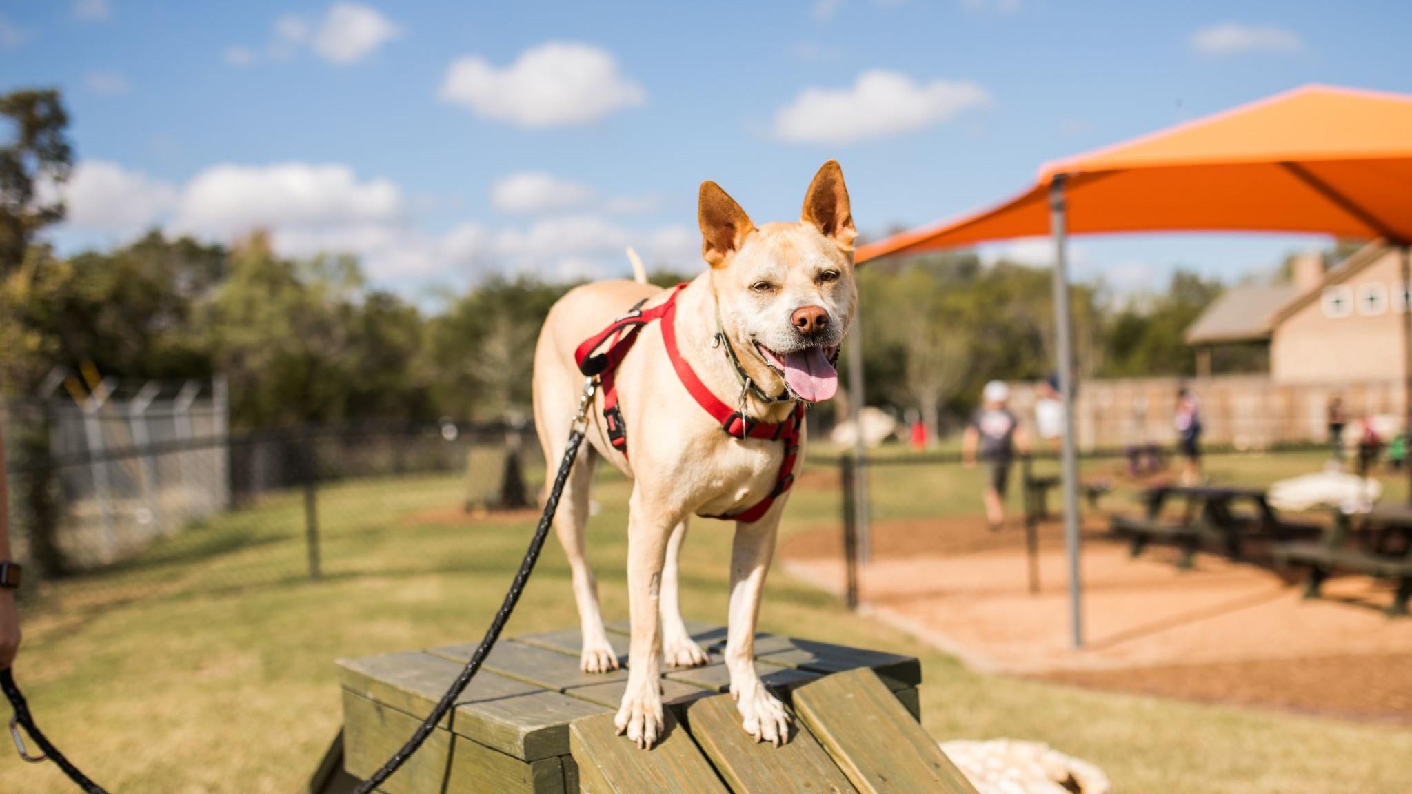 180 La Venta Loop Property Photo 12