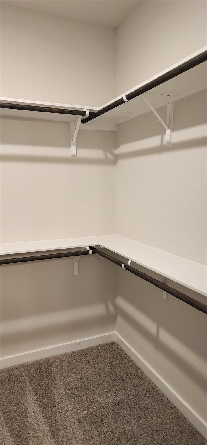 2345 Moon Tower Trl Property Photo 10