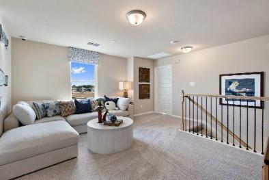 10025 Dawn Pearl Dr Property Photo 30