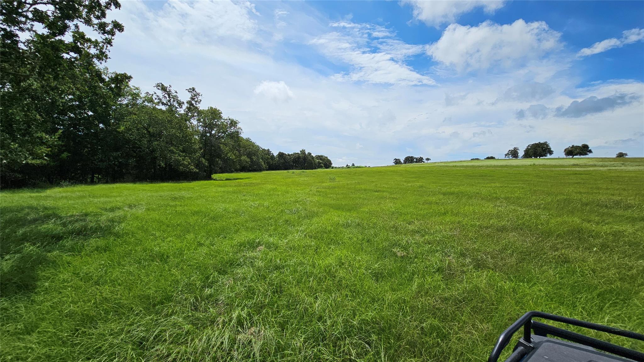 2055 Cr 481 Tract 1 Property Photo 7