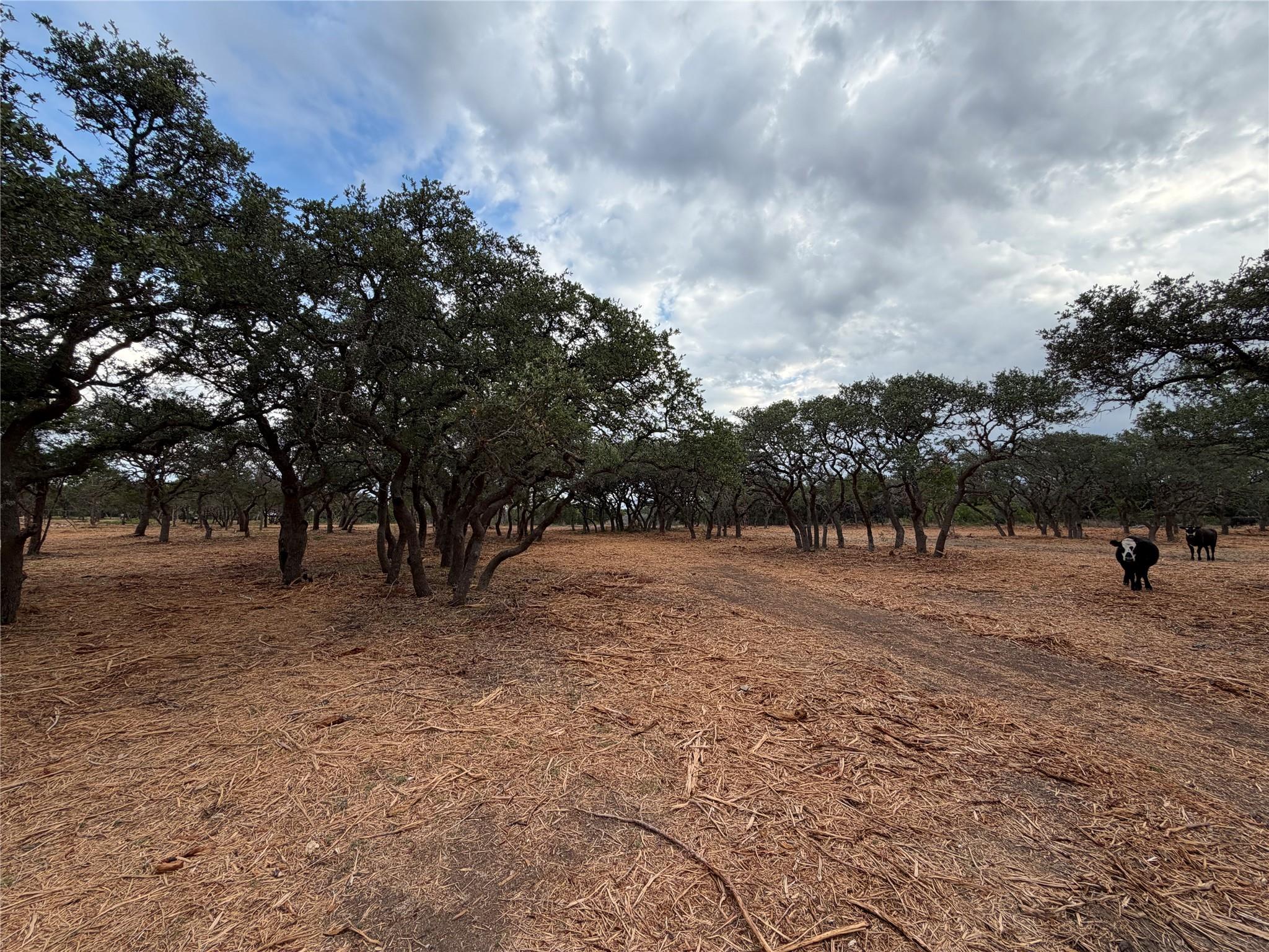 7257 Cr 252 None Property Photo 22