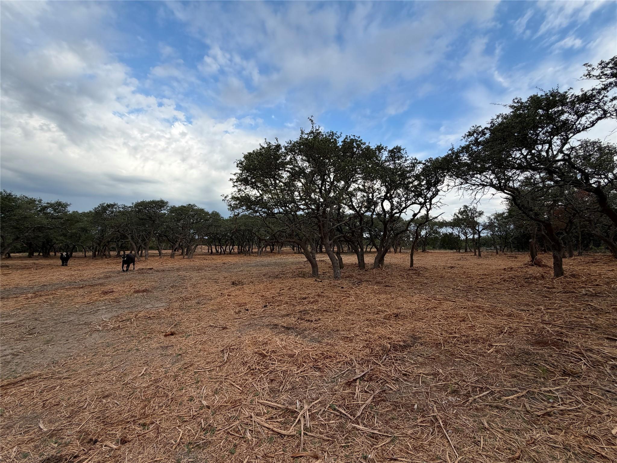 7257 Cr 252 None Property Photo 23