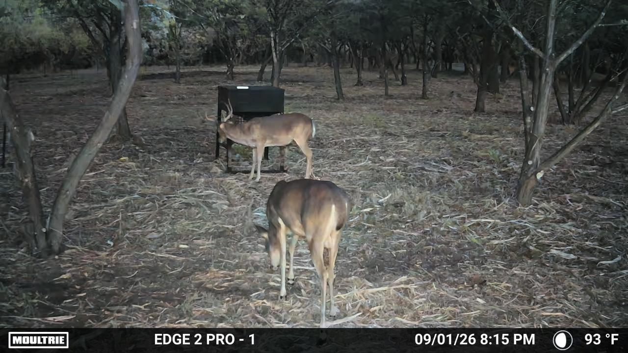 7257 Cr 252 None Property Photo 25