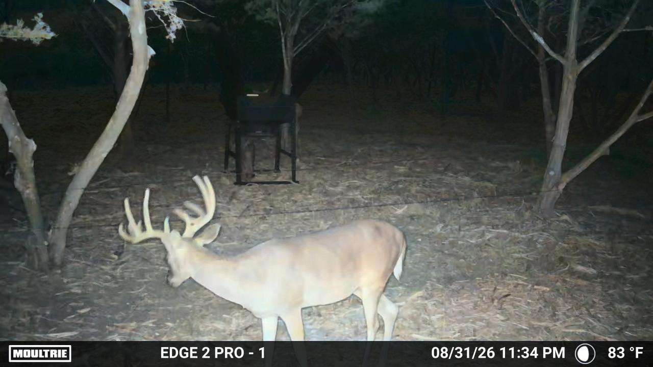 7257 Cr 252 None Property Photo 26