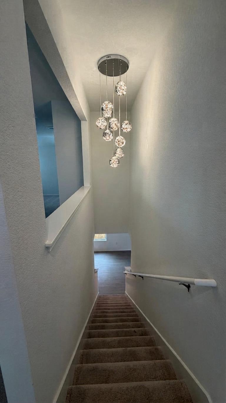17808 Indigo Bunting Ln Property Photo 24