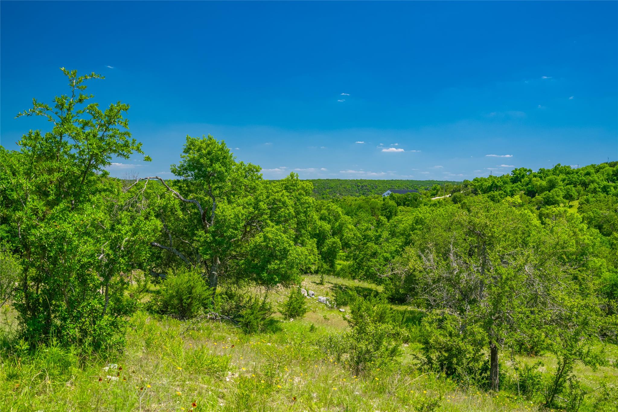 0 Trails End Rd Property Photo 38