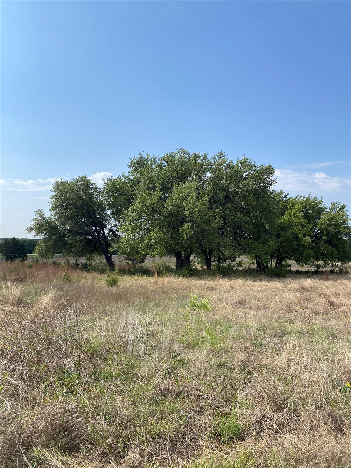 185 County Road 2227 Rd Property Photo
