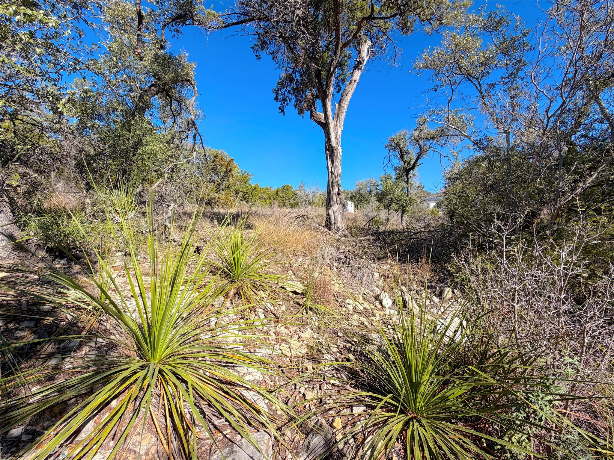 1178 Primrose Path Property Photo 21