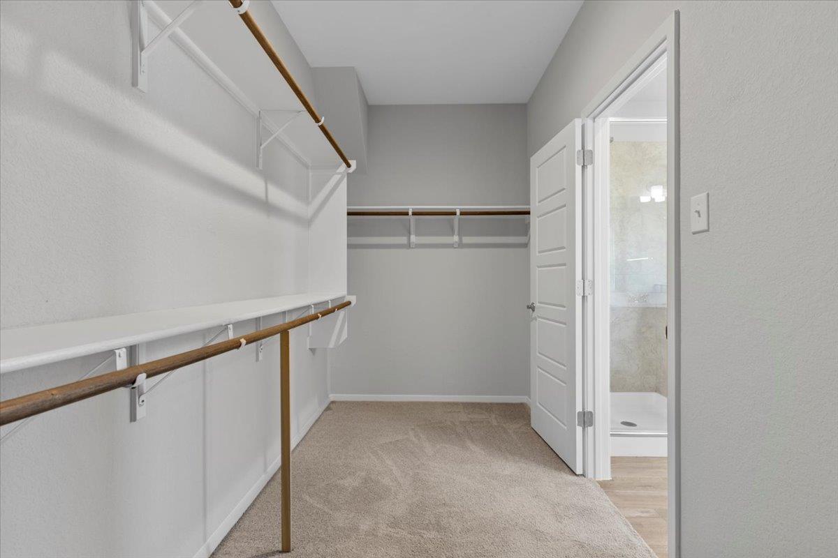 261 Hortus Dr Property Photo 24