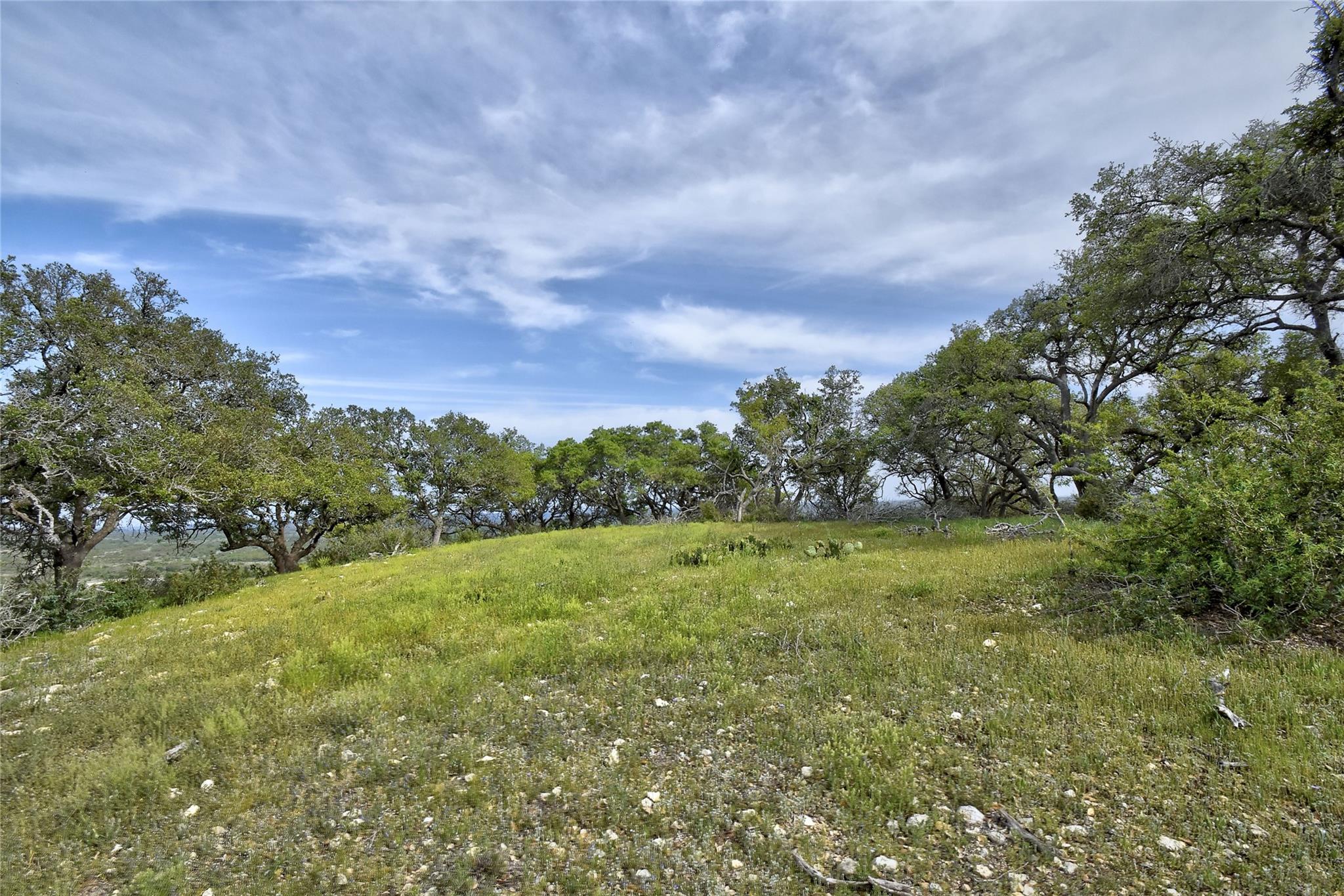 5032 Kendalia Rd Property Photo 6