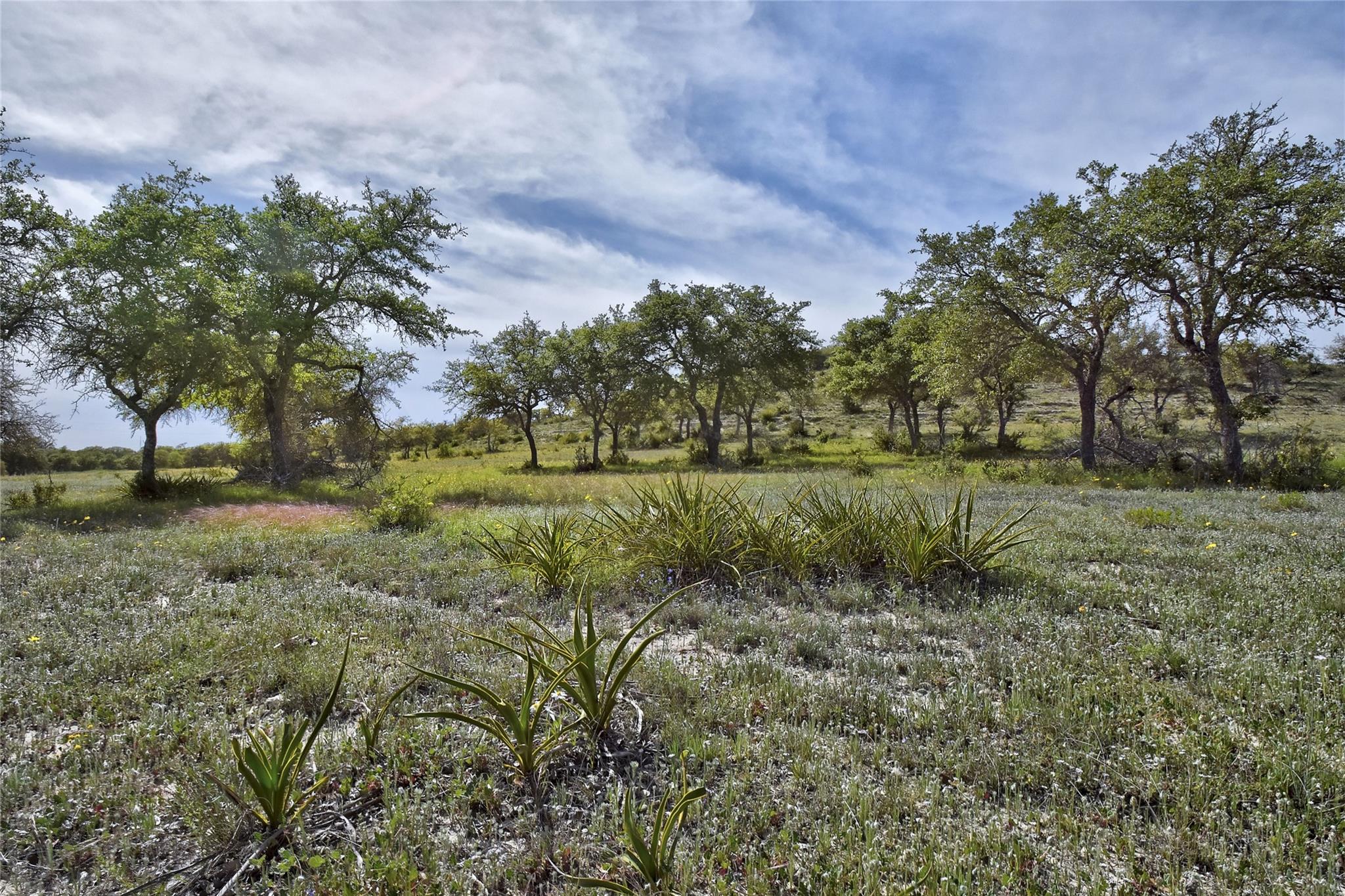 5032 Kendalia Rd Property Photo 11