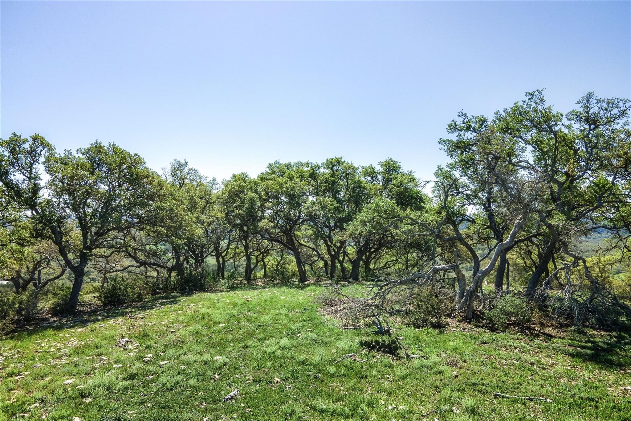 5032 Kendalia Rd Property Photo 18