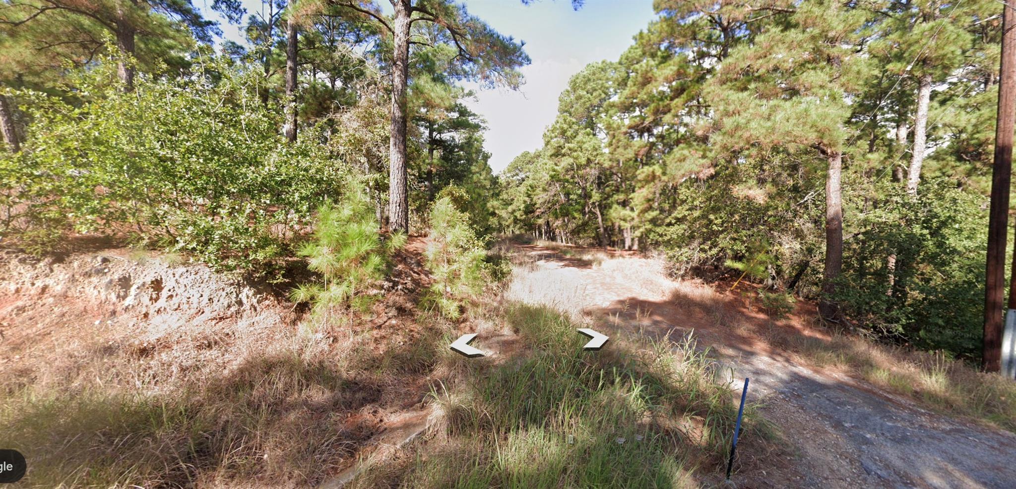 1188 Tahitian Village None Property Photo 3