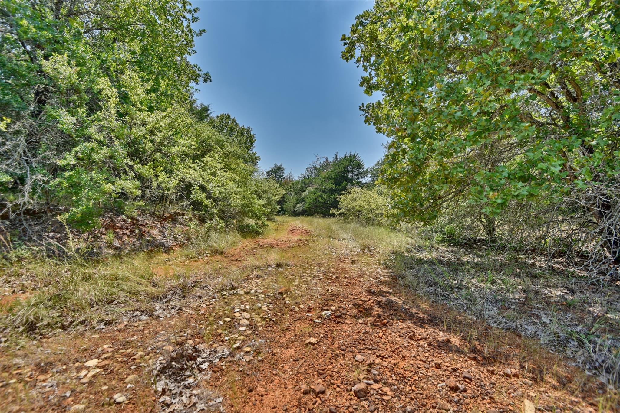 4901 Hudson Hills Dr Property Photo 2