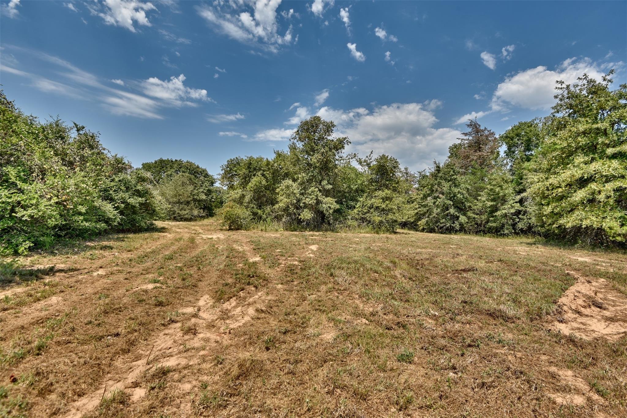 4901 Hudson Hills Dr Property Photo 12