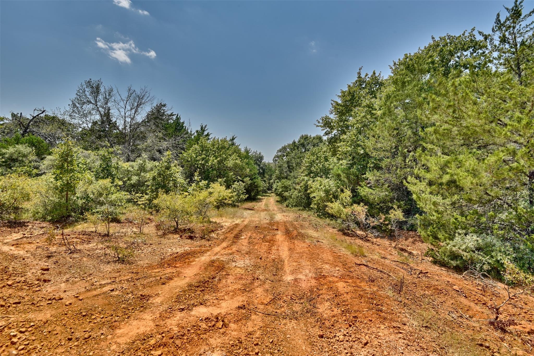 4901 Hudson Hills Dr Property Photo 17