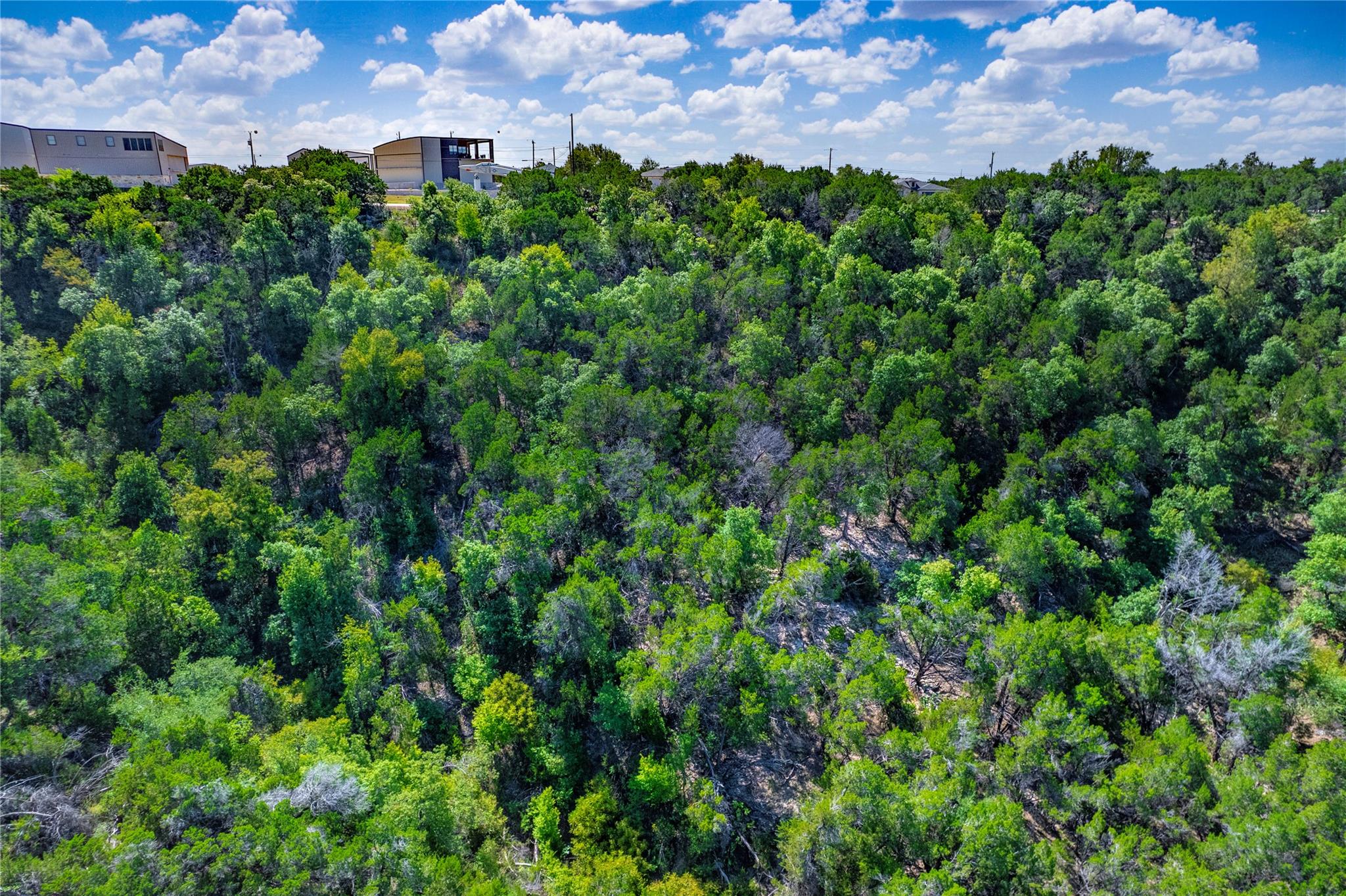 9000 Bar K Ranch Rd Property Photo 13