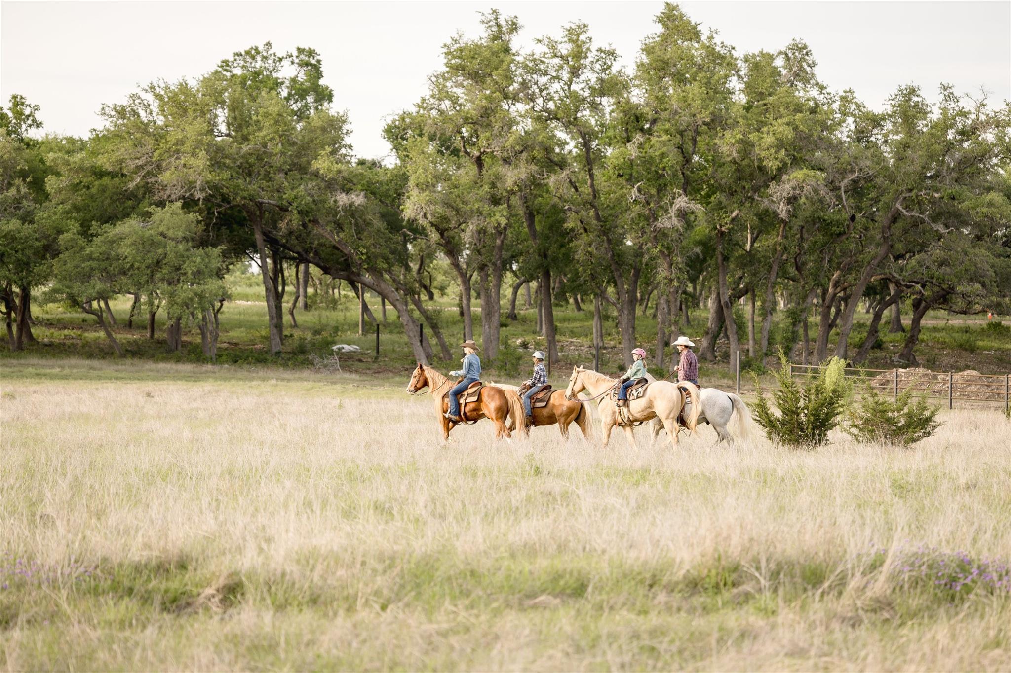 Lot 34 Mesa Ranch Rd Property Photo 6