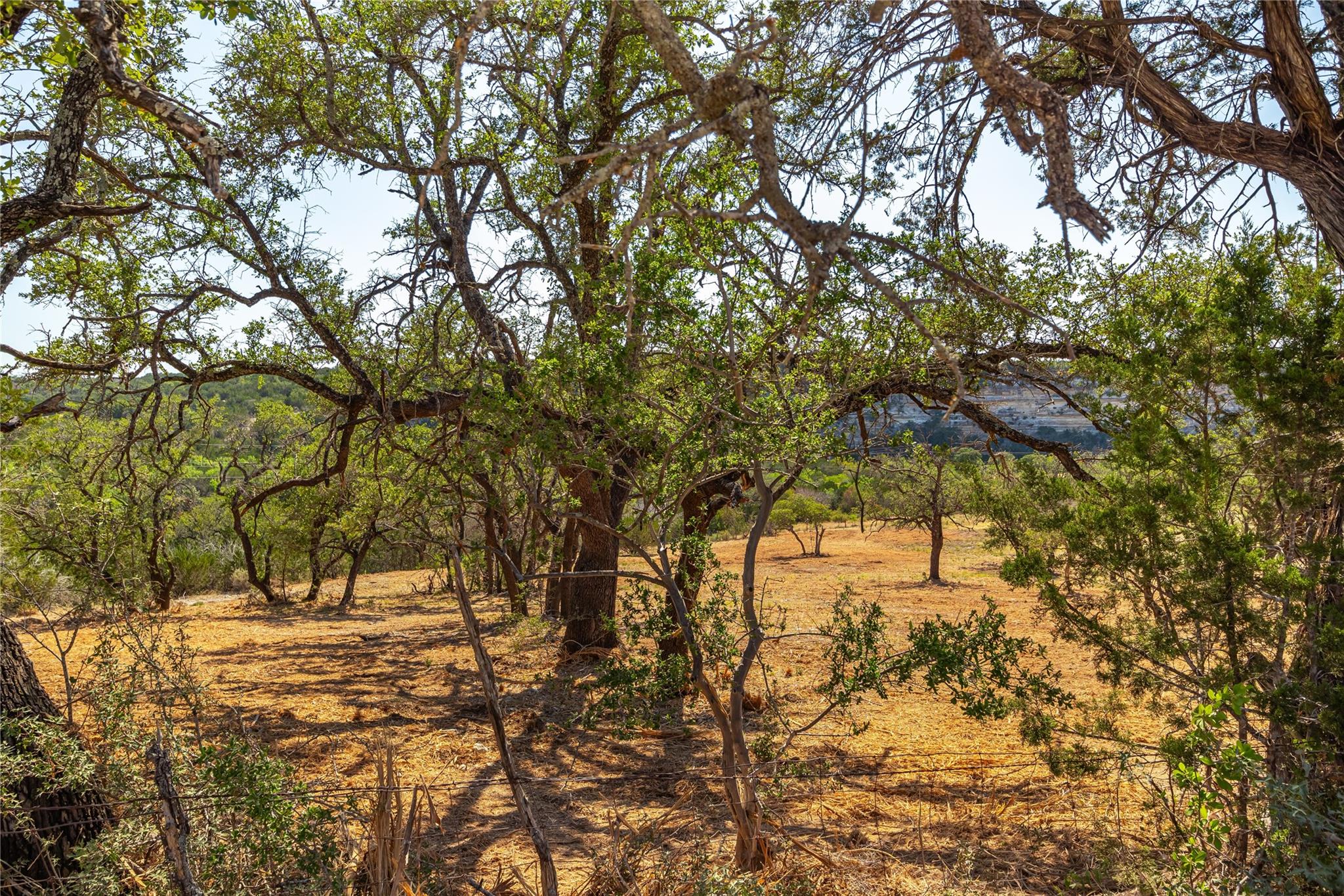 Lot 20 Seven Spring Dr Property Photo 12
