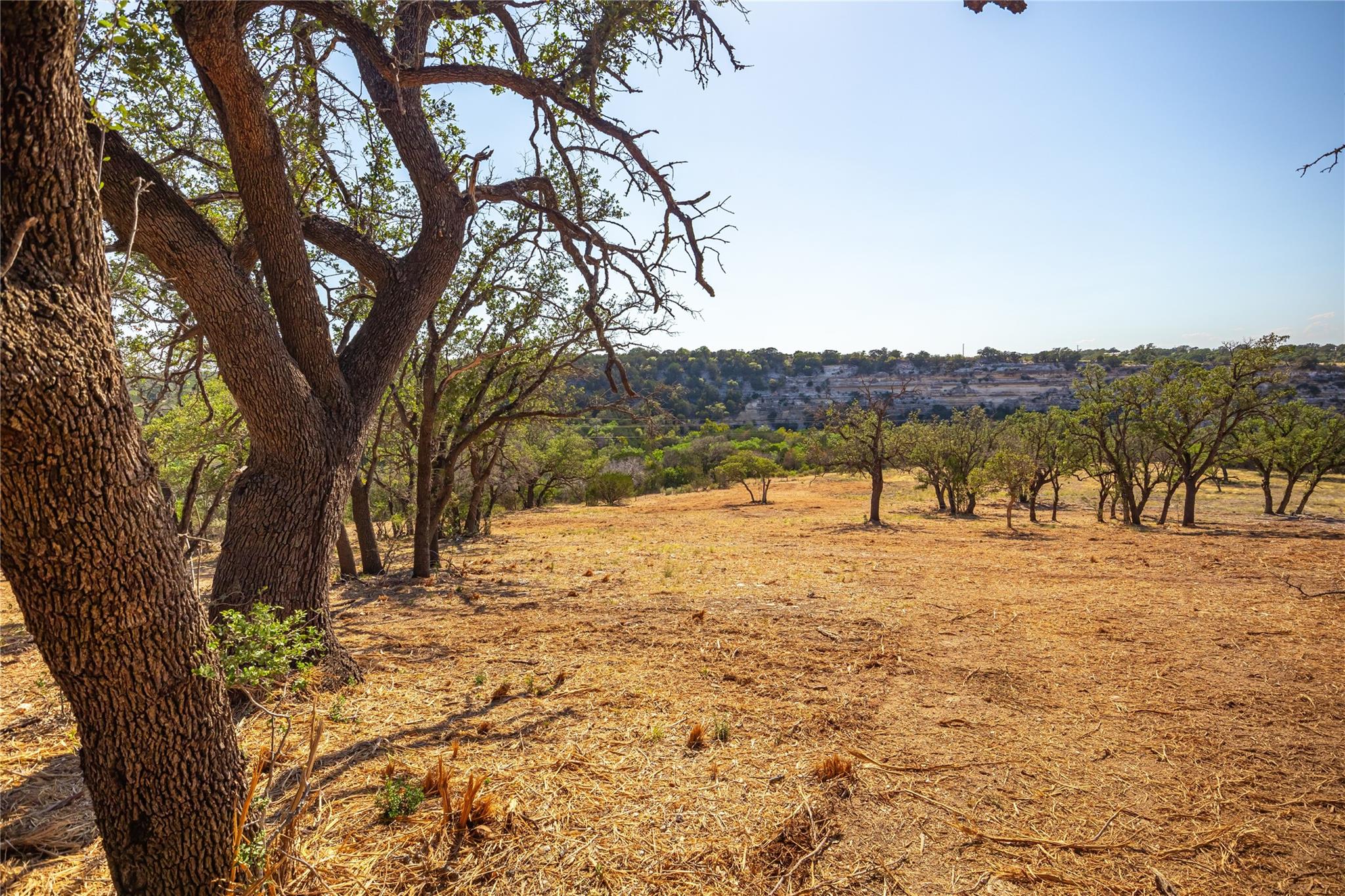 Lot 20 Seven Spring Dr Property Photo 21