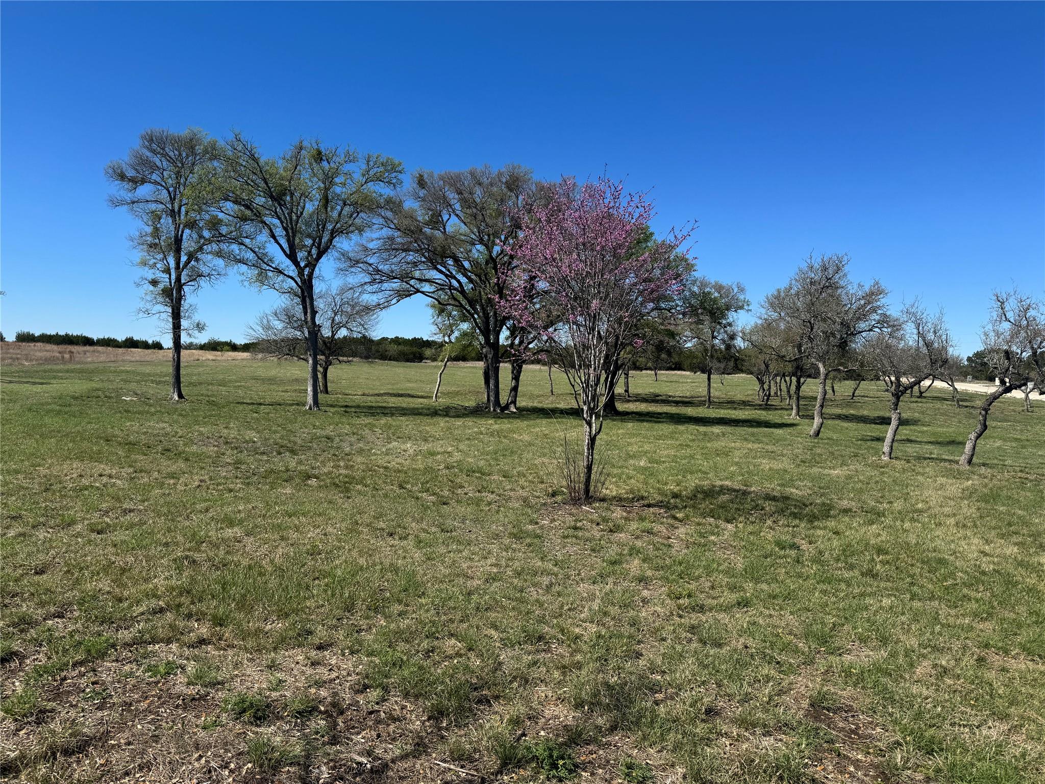 Tract 34 Burnet Oaks Dr Property Photo 1