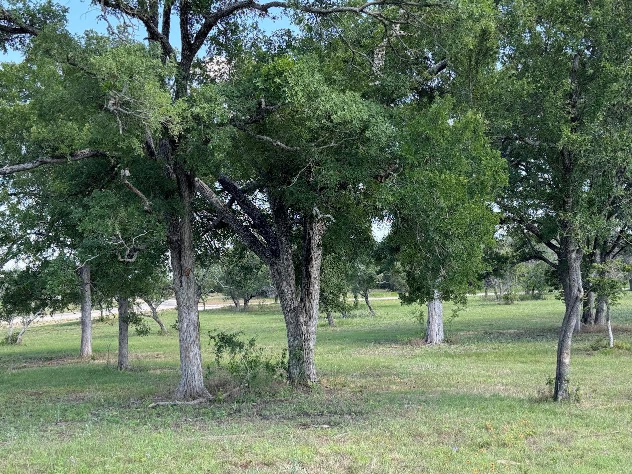Tract 34 Burnet Oaks Dr Property Photo 9