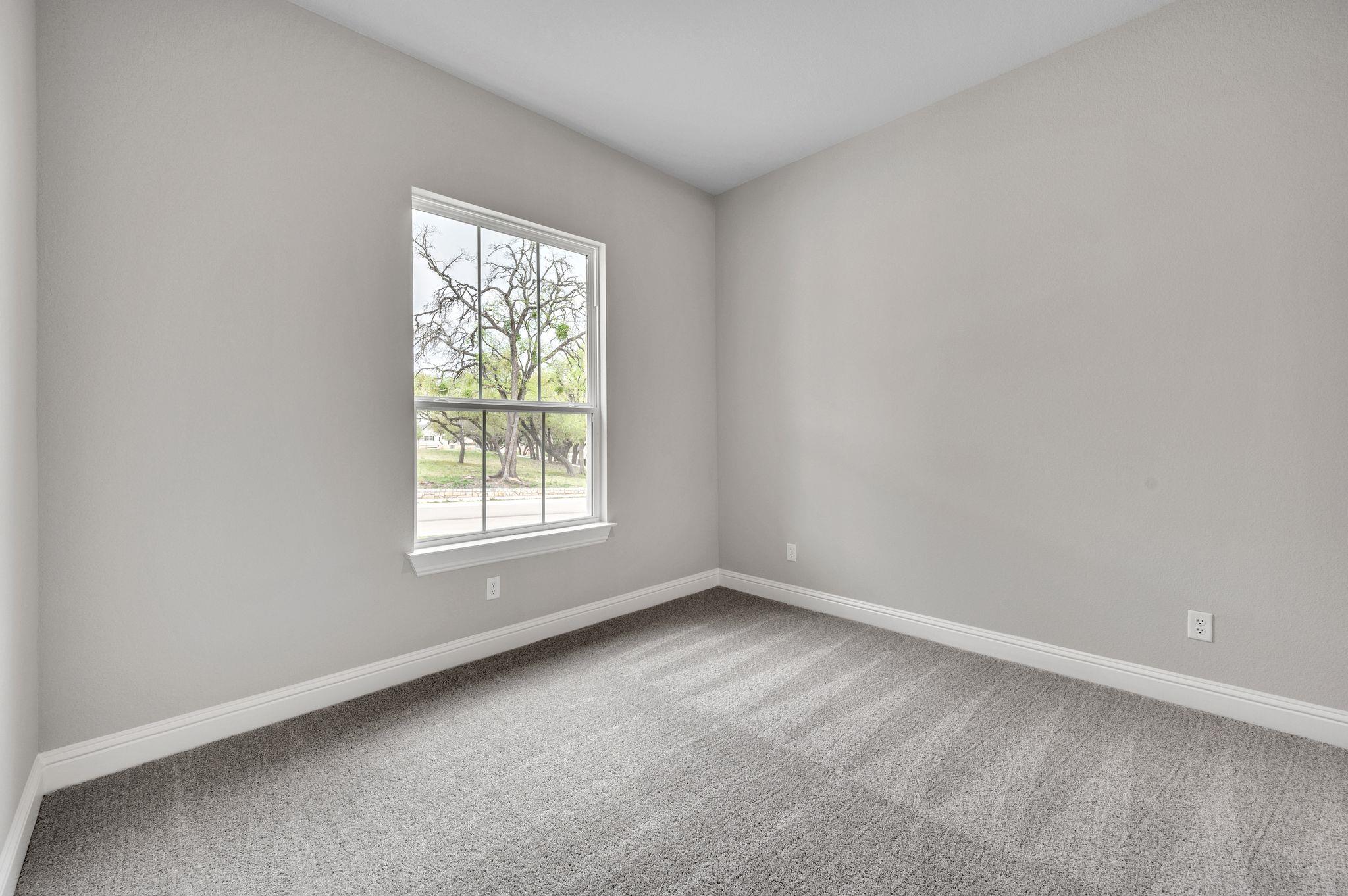 1729 Cayuga St Property Photo 17