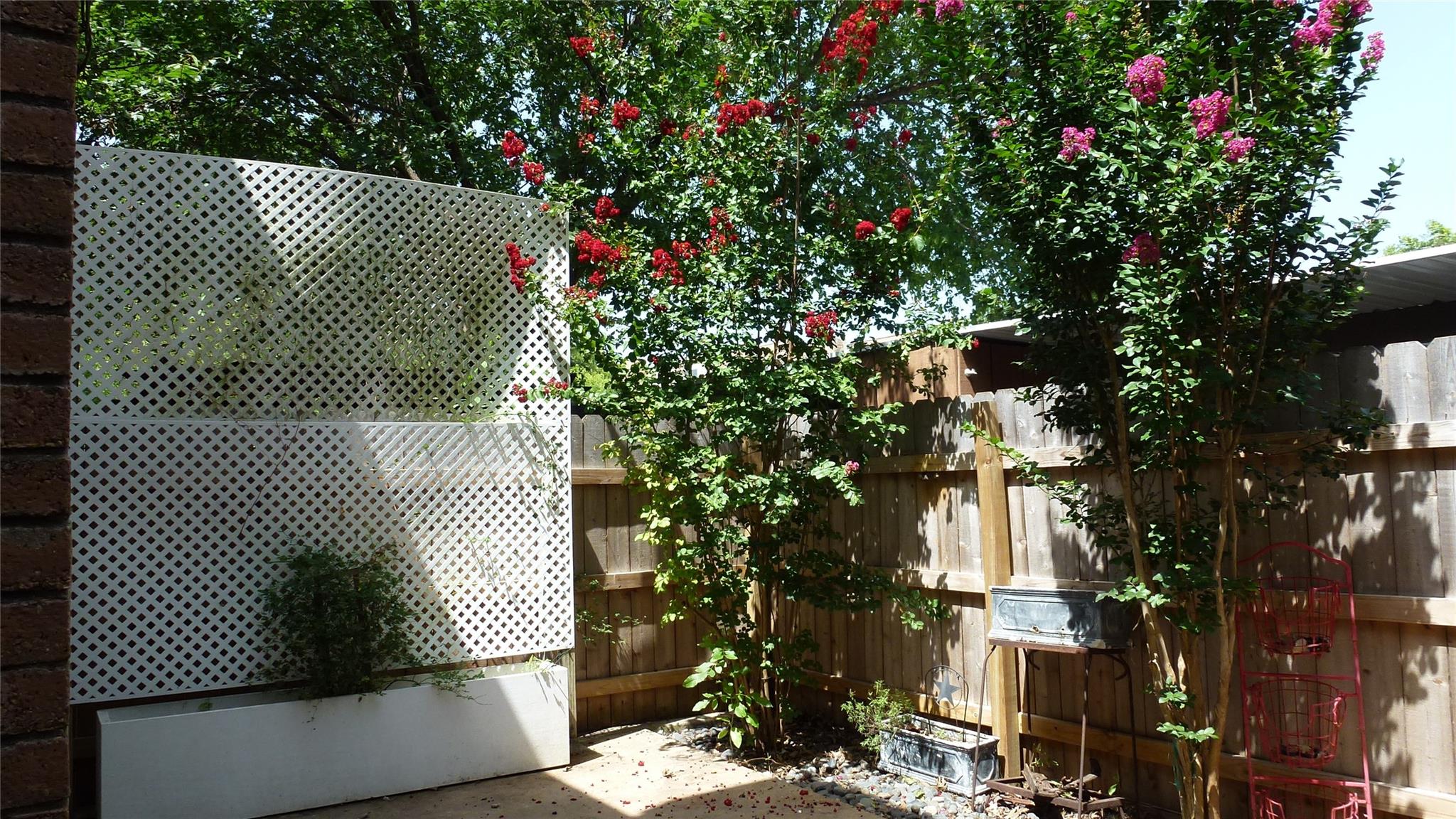 9009 North Plaza None #133 Property Photo 22