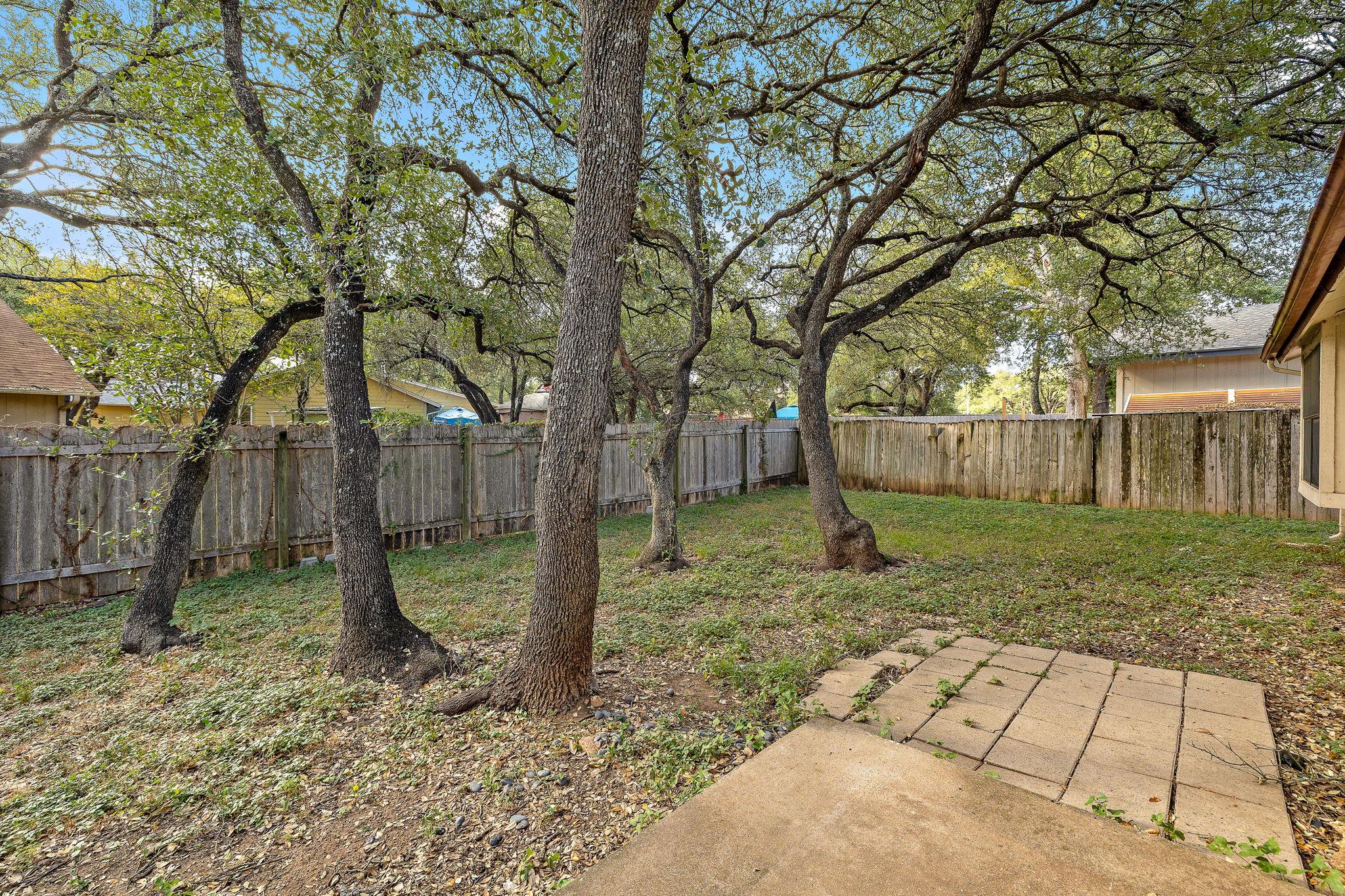 1604 Texas Oak Way Property Photo 19