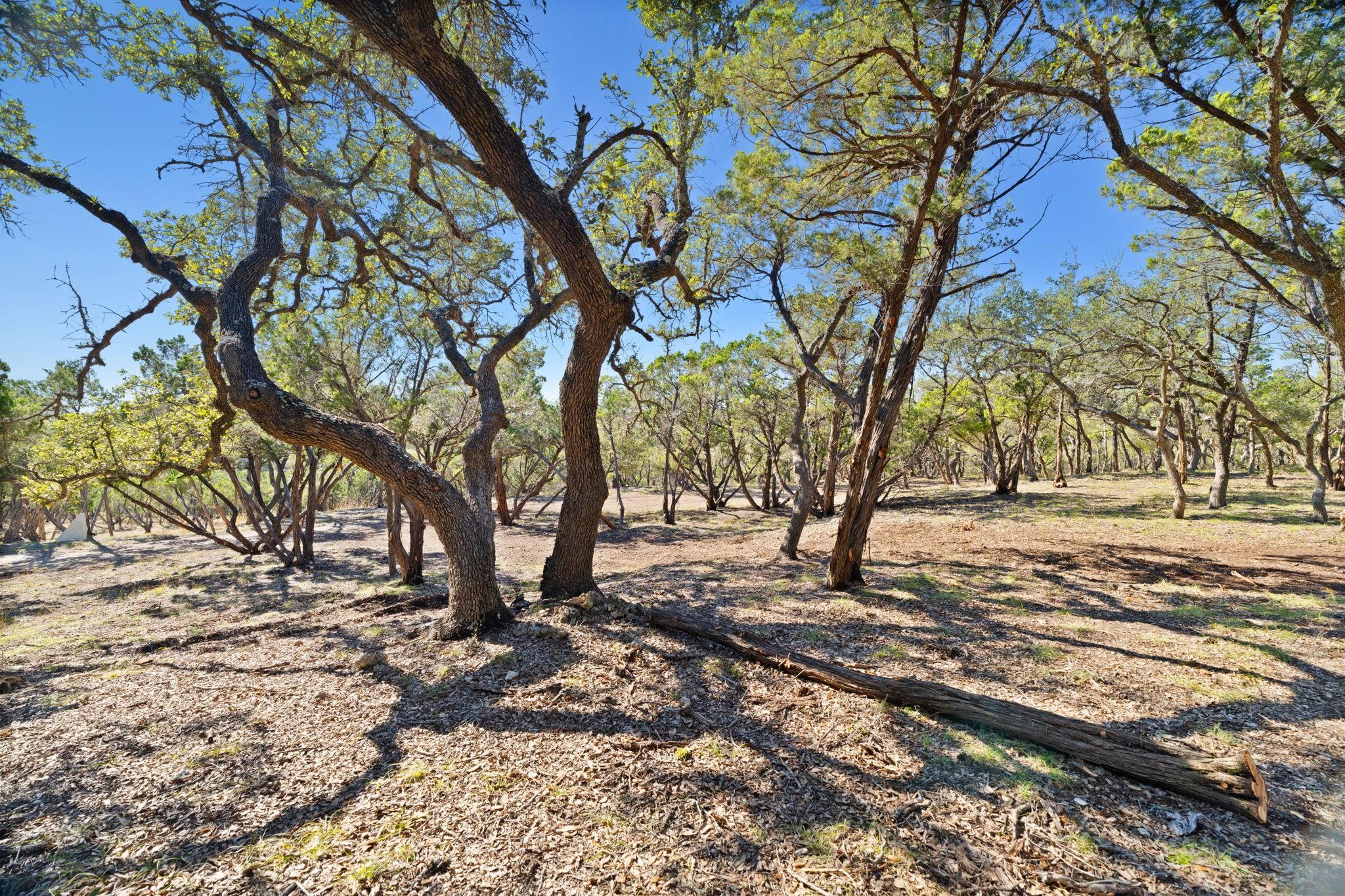 3300 Fm 165 - Lot 10b Property Photo 4