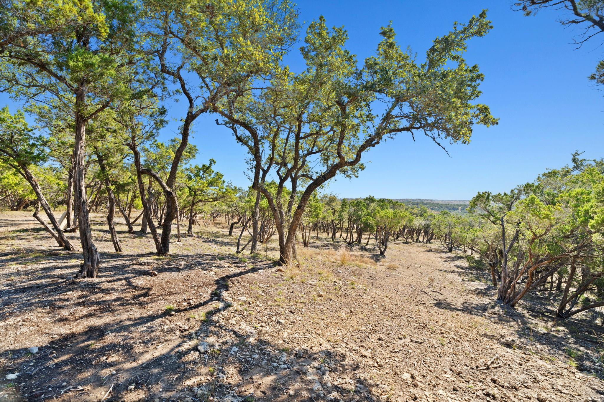 3300 Fm 165 - Lot 10b Property Photo 15