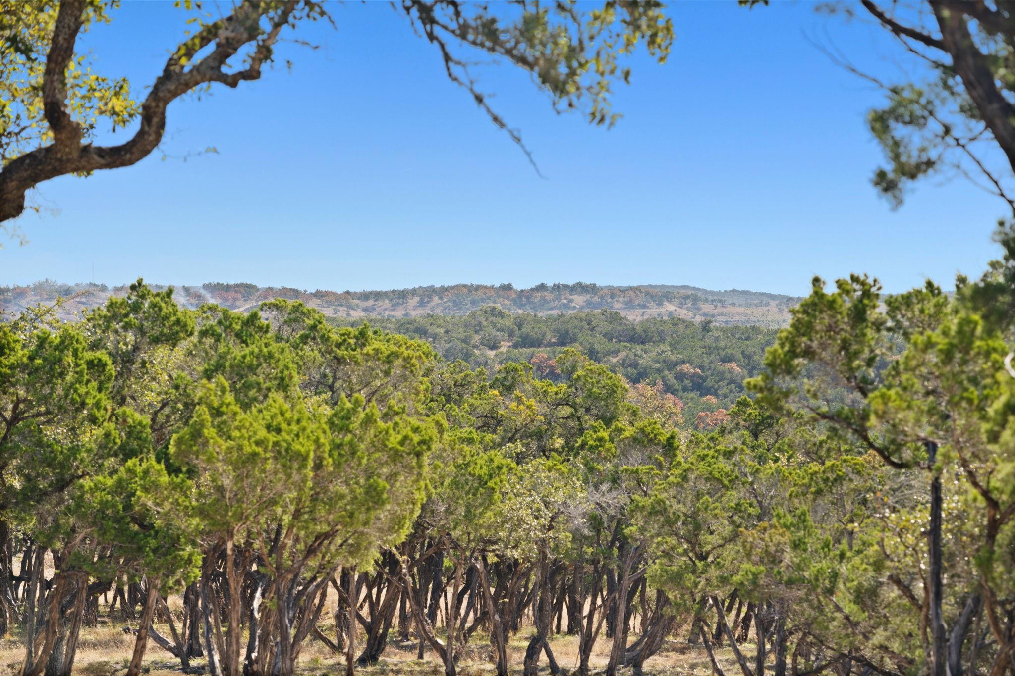 3300 Fm 165 - Lot 10b Property Photo 16