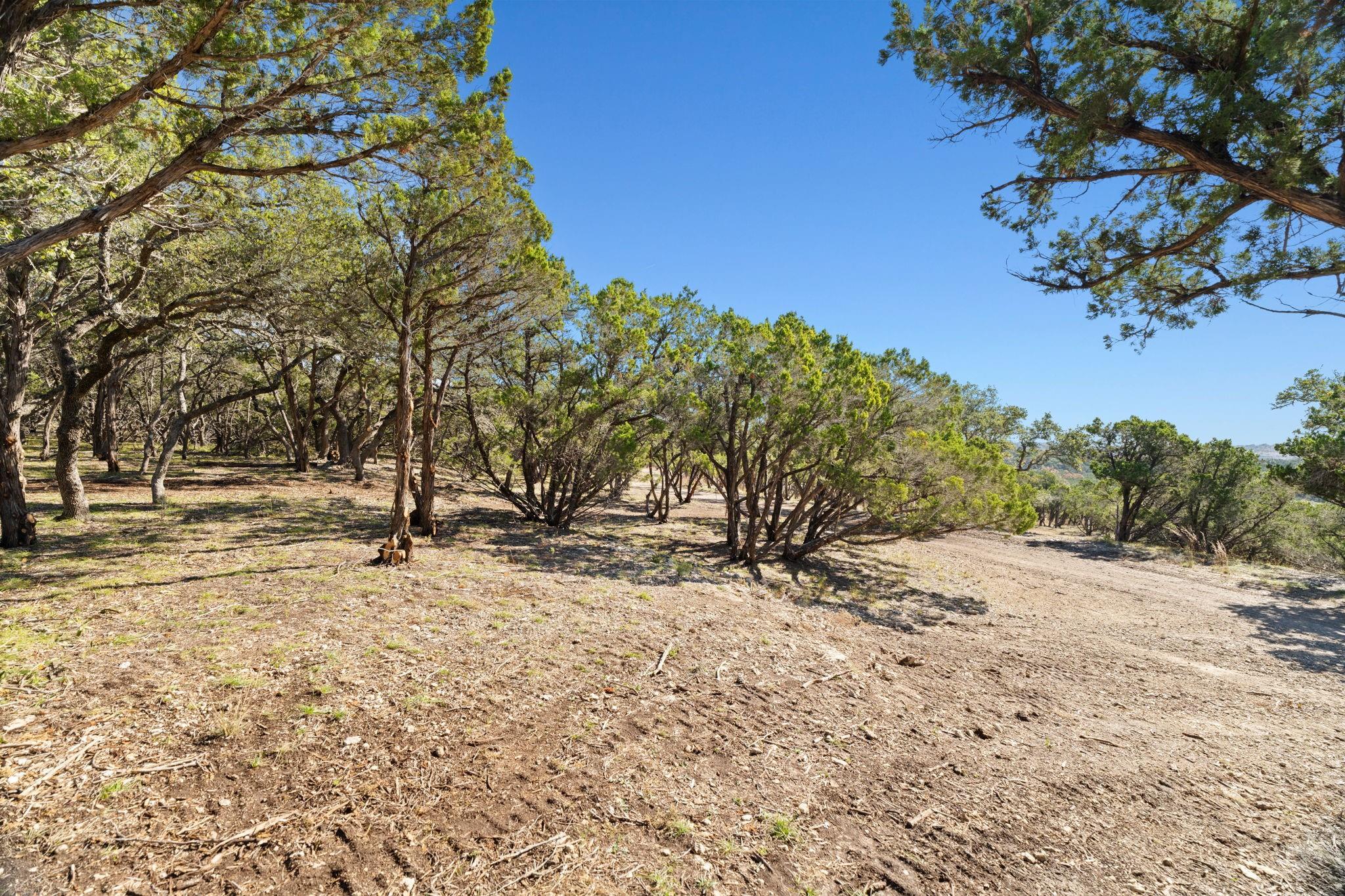 3300 Fm 165 - Lot 10b Property Photo 17