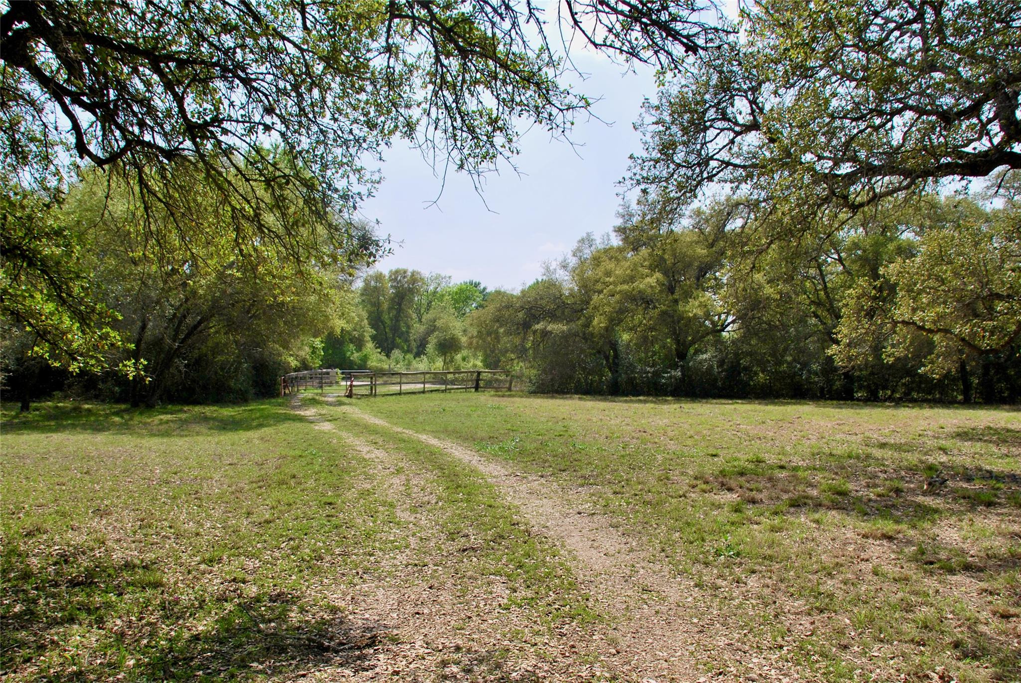 1801 County Road 381 Property Photo 3