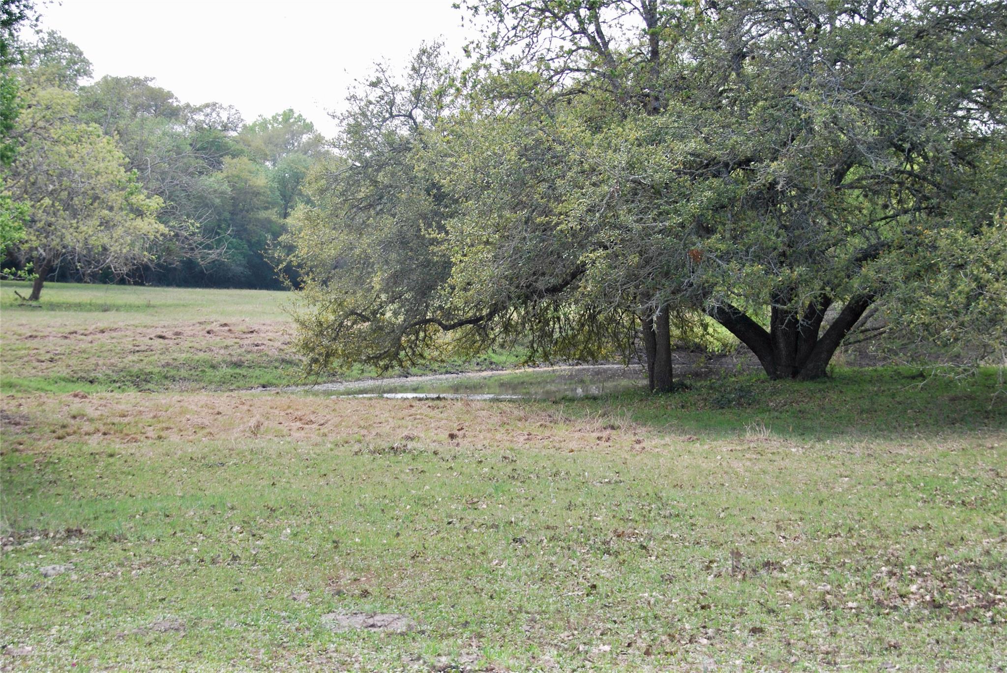 1801 County Road 381 Property Photo 4