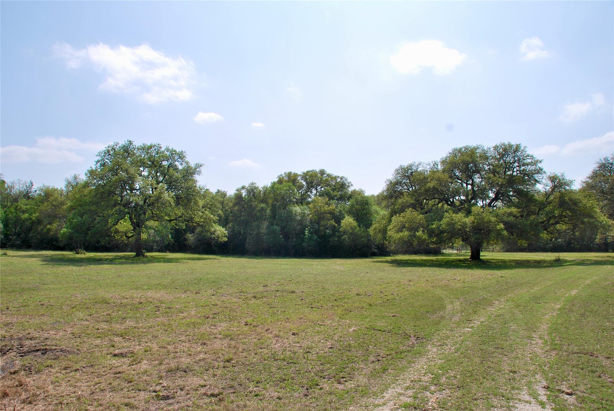 1801 County Road 381 Property Photo 5