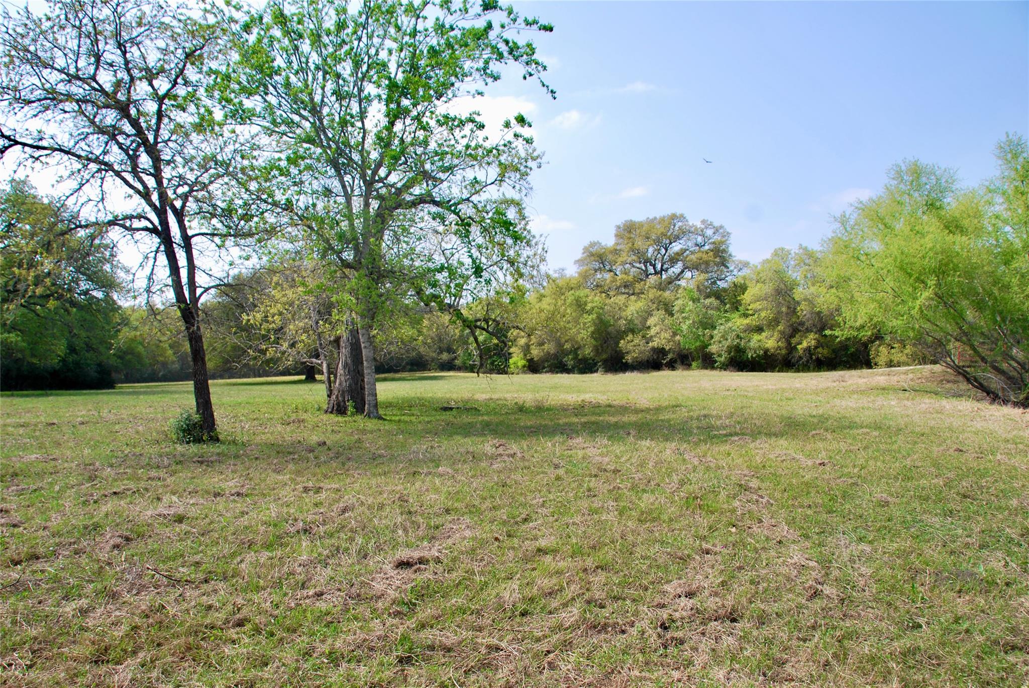 1801 County Road 381 Property Photo 6