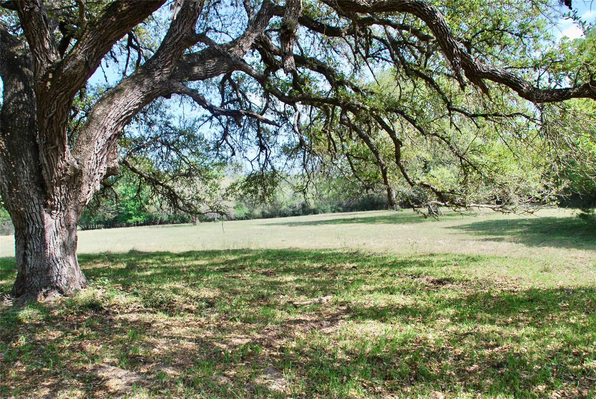 1801 County Road 381 Property Photo 25