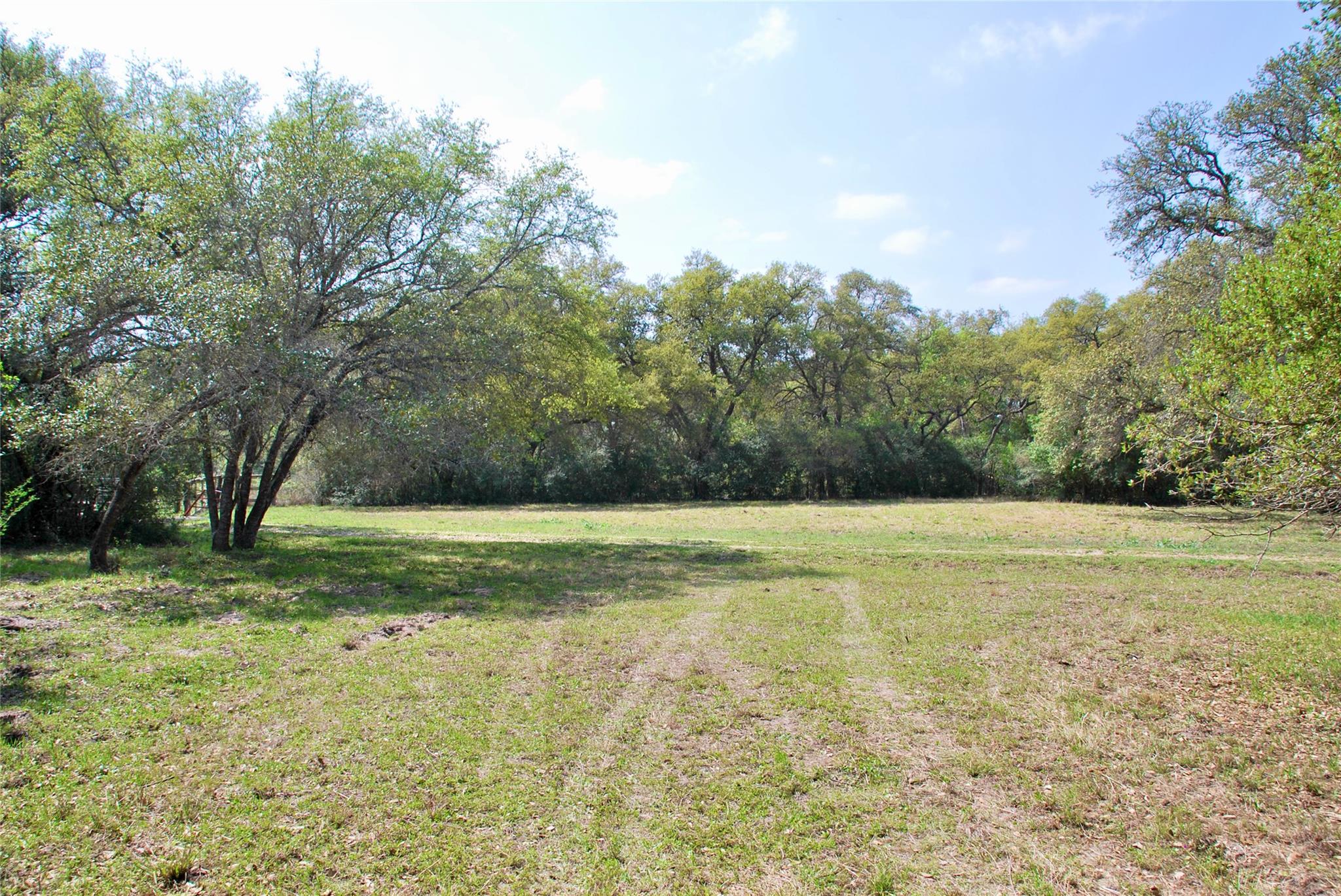 1801 County Road 381 Property Photo 26
