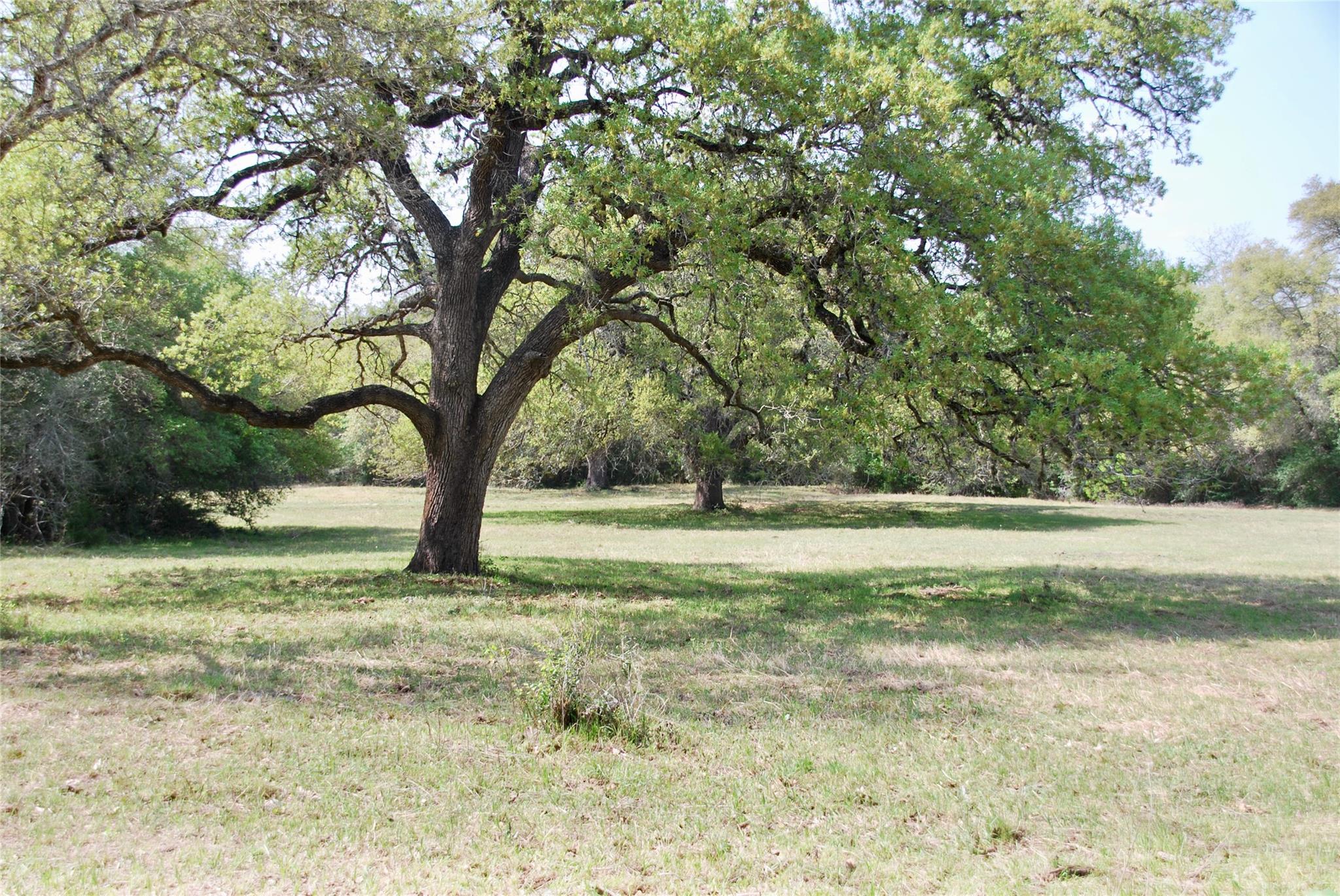 1801 County Road 381 Property Photo 27