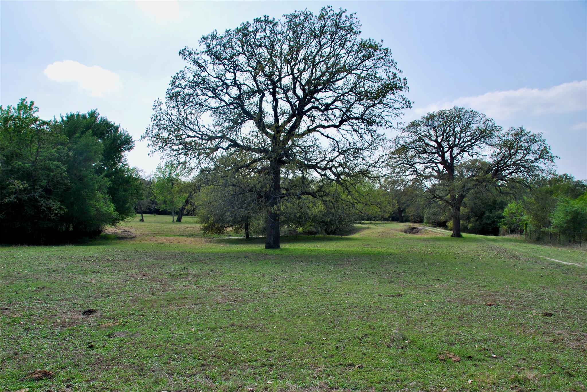1801 County Road 381 Property Photo 31