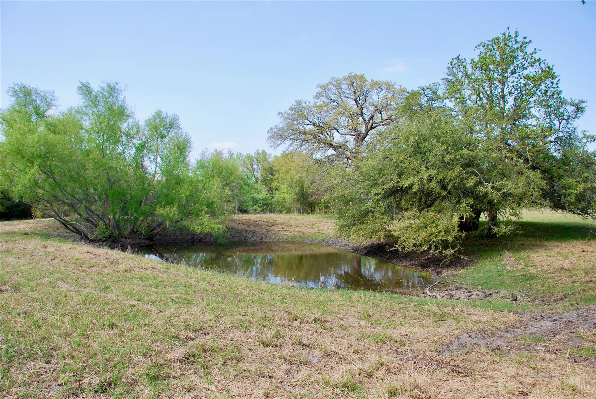 1801 County Road 381 Property Photo 32