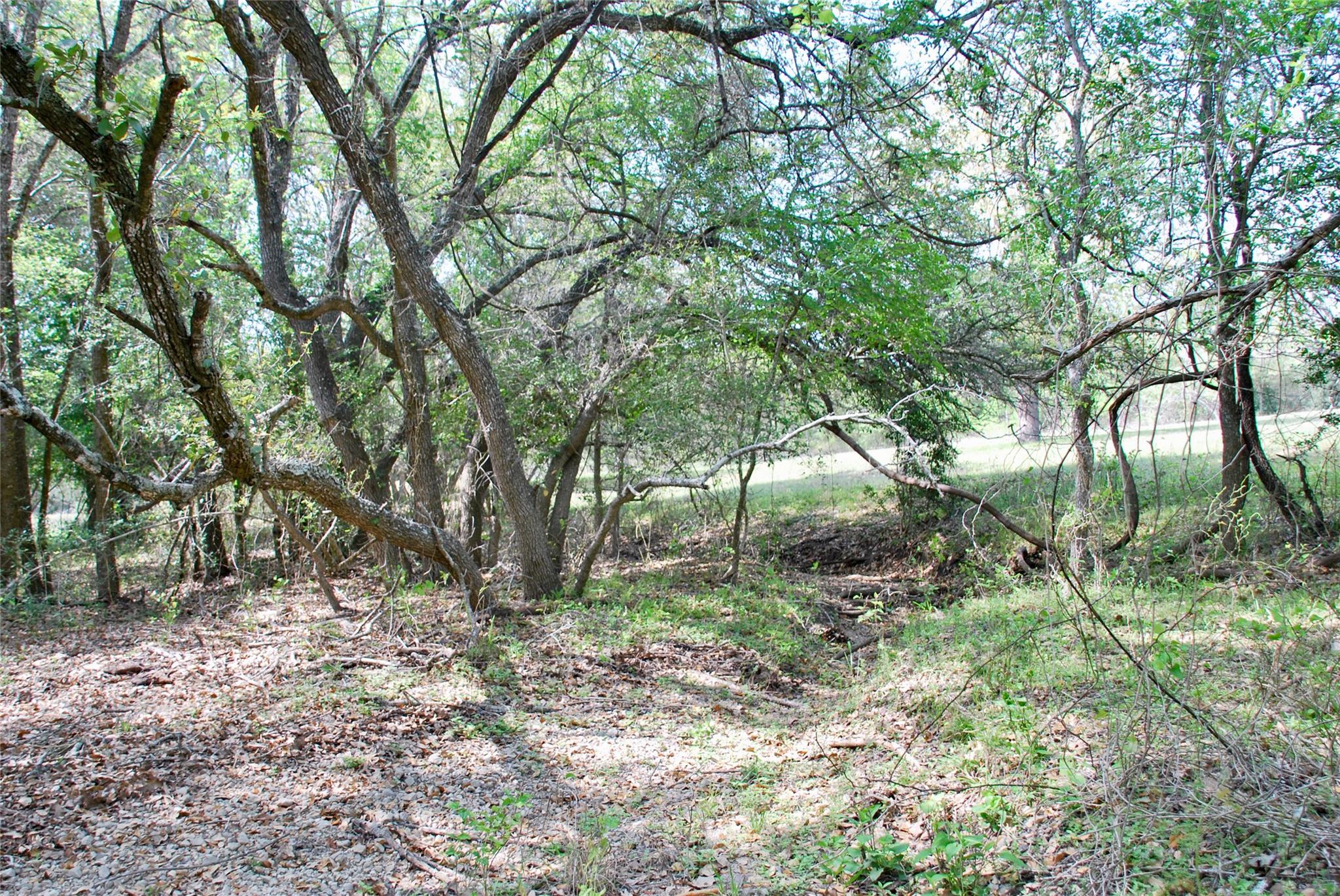1801 County Road 381 Property Photo 33