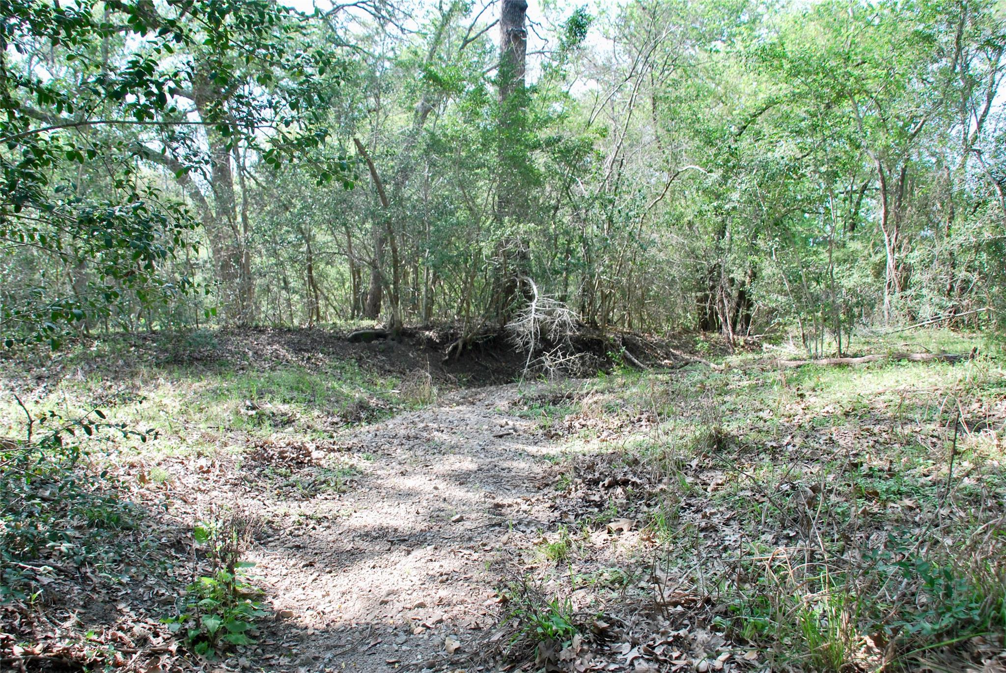1801 County Road 381 Property Photo 34