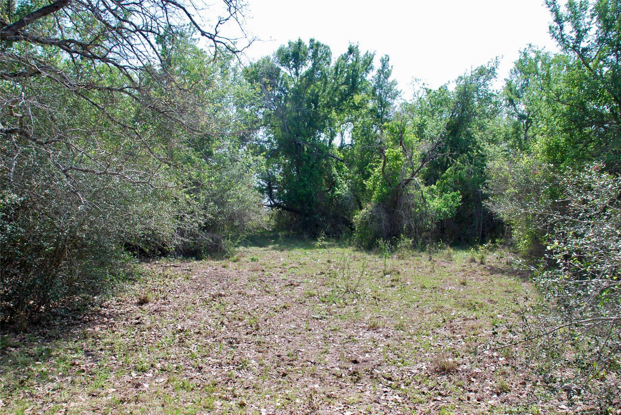1801 County Road 381 Property Photo 36
